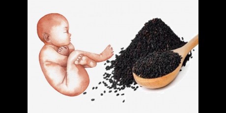 الحبة السوداء للحامل